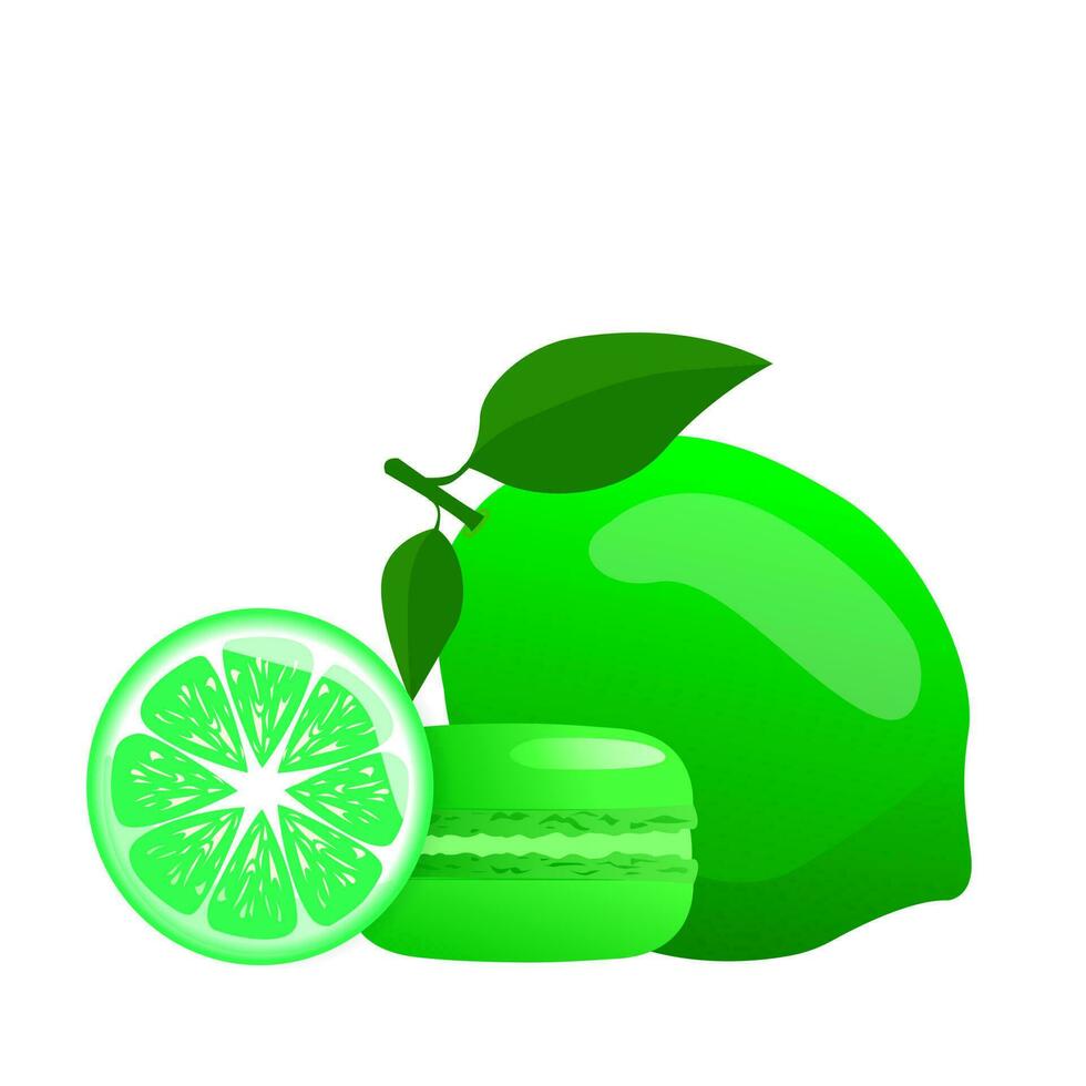 Lime macaron and lime. Gradient macarons. Vector traditional french cookies in cartoon style.The design concept of a web page,advertising,cafe,menu. Vector illustration