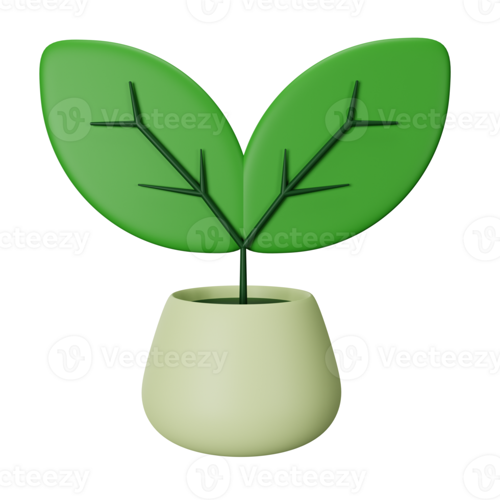 3d icon plant isolated on transparent background png