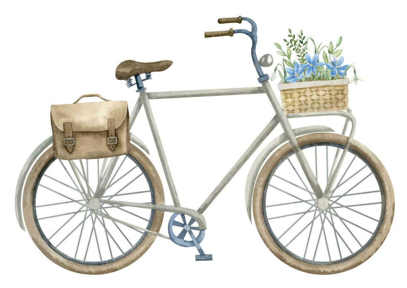 Urban Bicycle with basket of blue Flowers and leathery bag. Hand drawn watercolor illustration of old retro city transport on white isolated background. Drawing of vintage cycle for travel in a town vector
