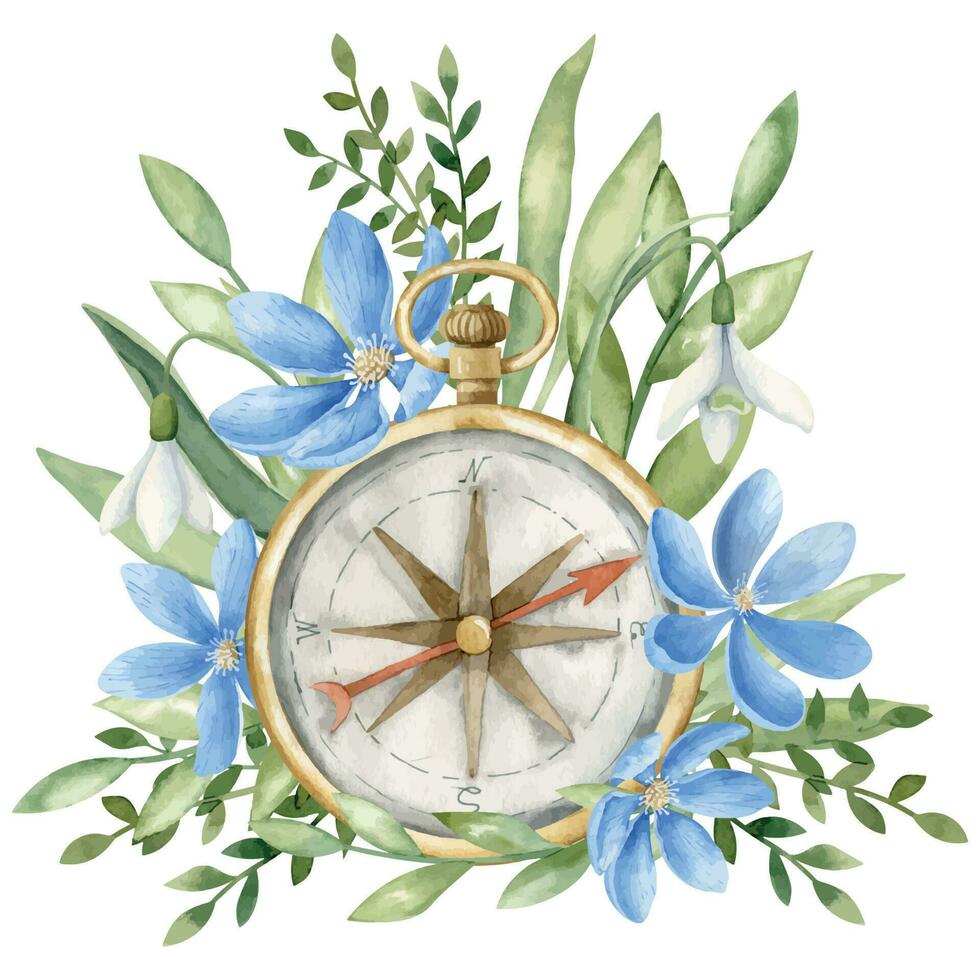 Vintage Compass with blue Flowers. Hand drawn watercolor illustration of navigation old retro equipment with wild forest daisy and green leaves on white isolated background. Drawing of travel element vector