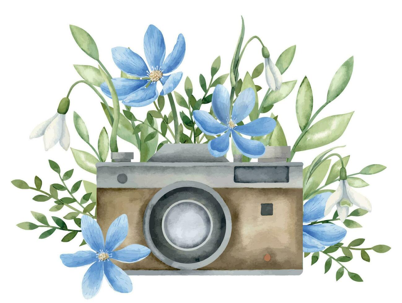 Vintage Camera with blue Flowers. Hand drawn watercolor illustration of old retro photo equipment and forest daisy on white isolated background. Colorful drawing with wild plants for icon or logo vector