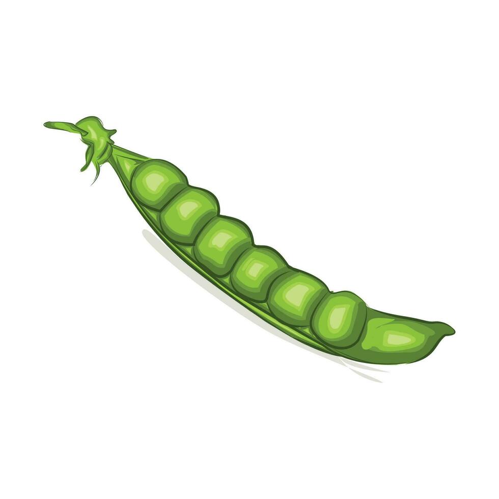 Green pea vector illustration