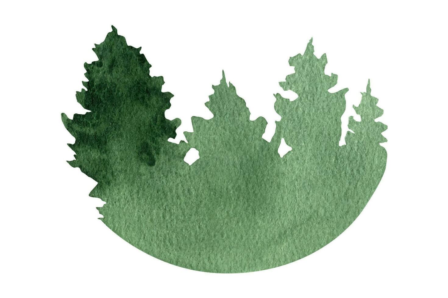 Hand drawn watercolor fir tree forest landscape clipart vector