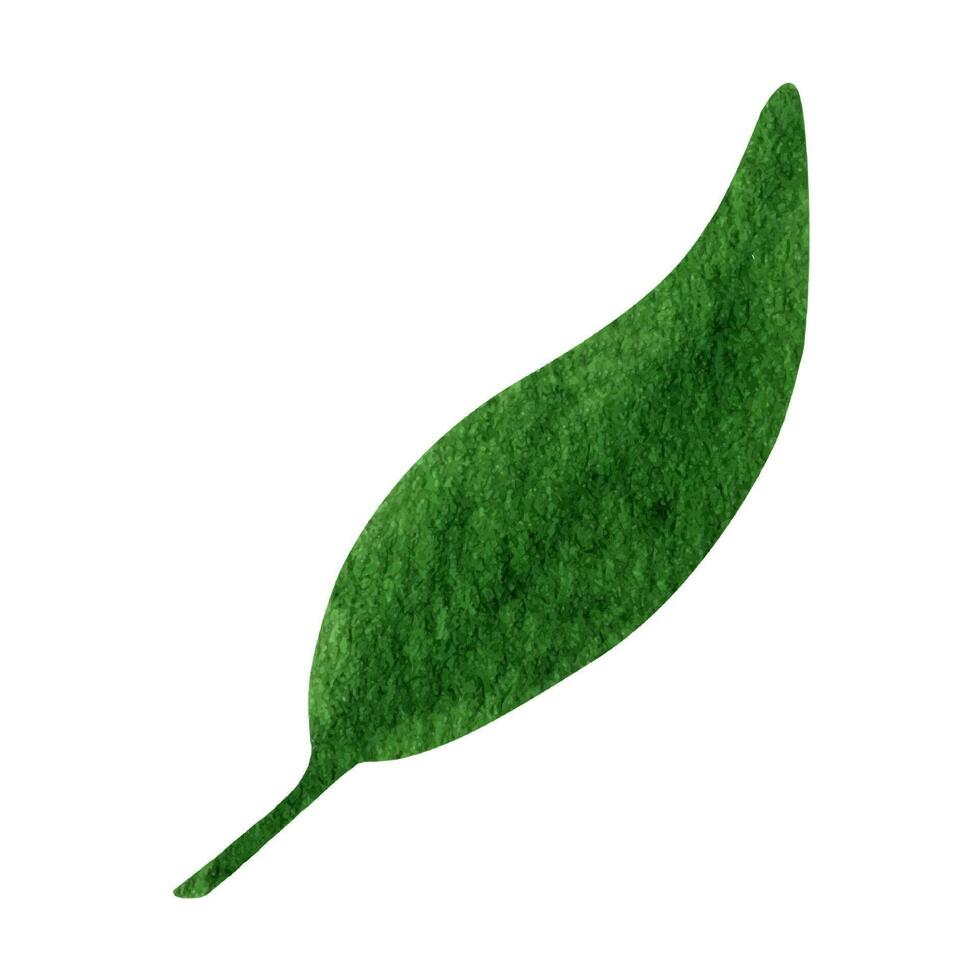 verde bosque hojas acuarela clipart. ilustración de verano verdor. vector