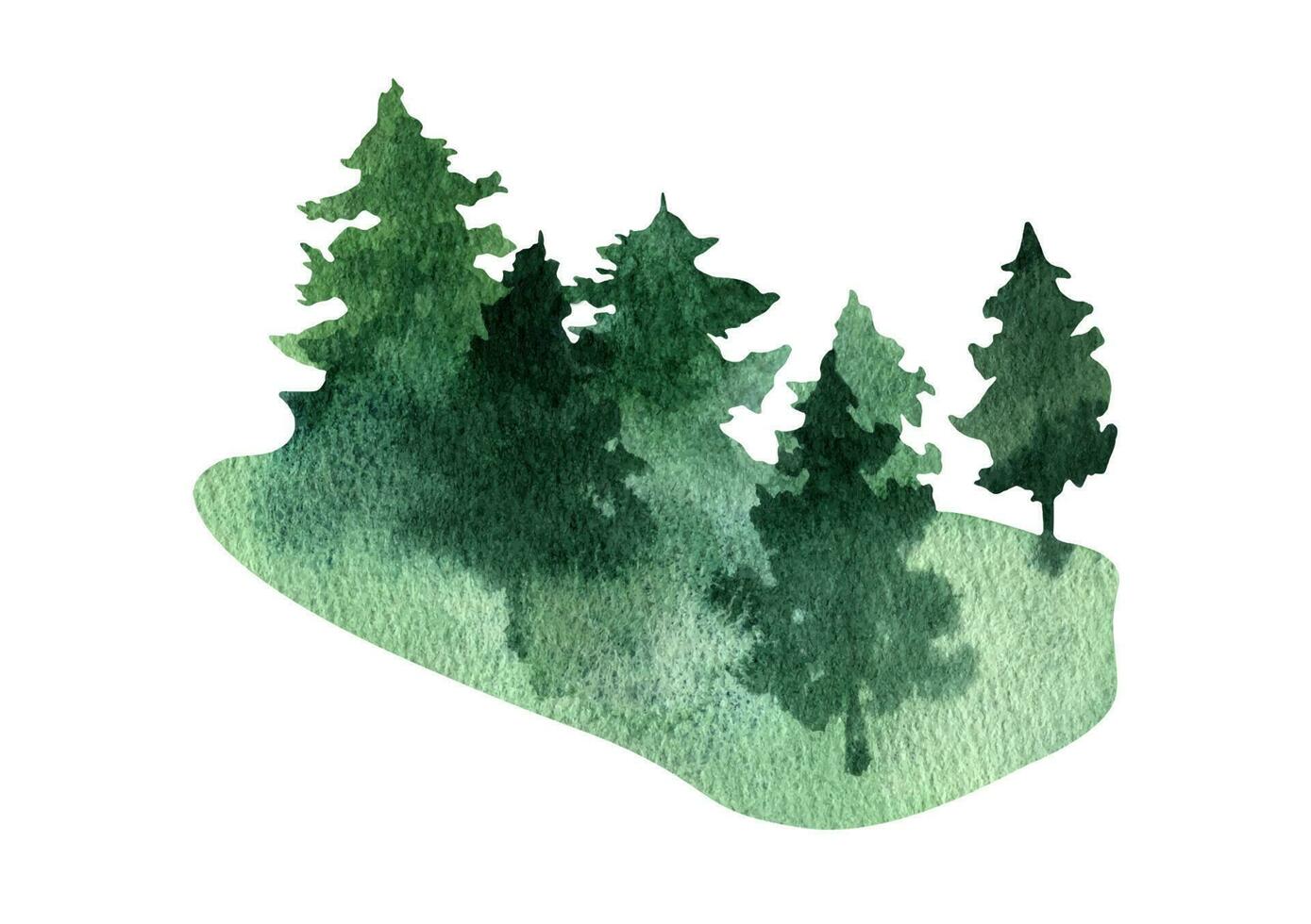 Hand drawn watercolor fir tree forest landscape clipart vector