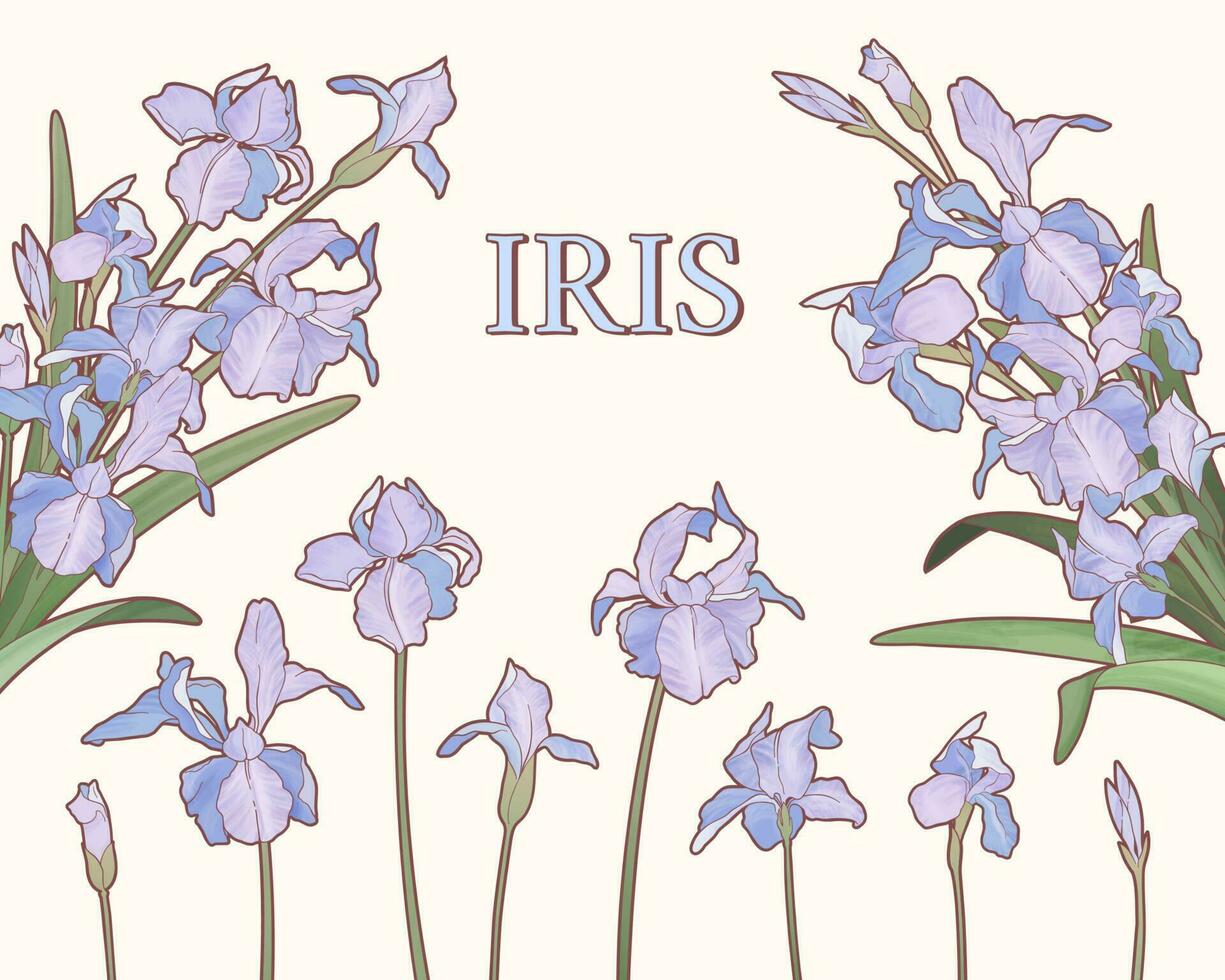 Watercolor style purple iris garden on beige background vector