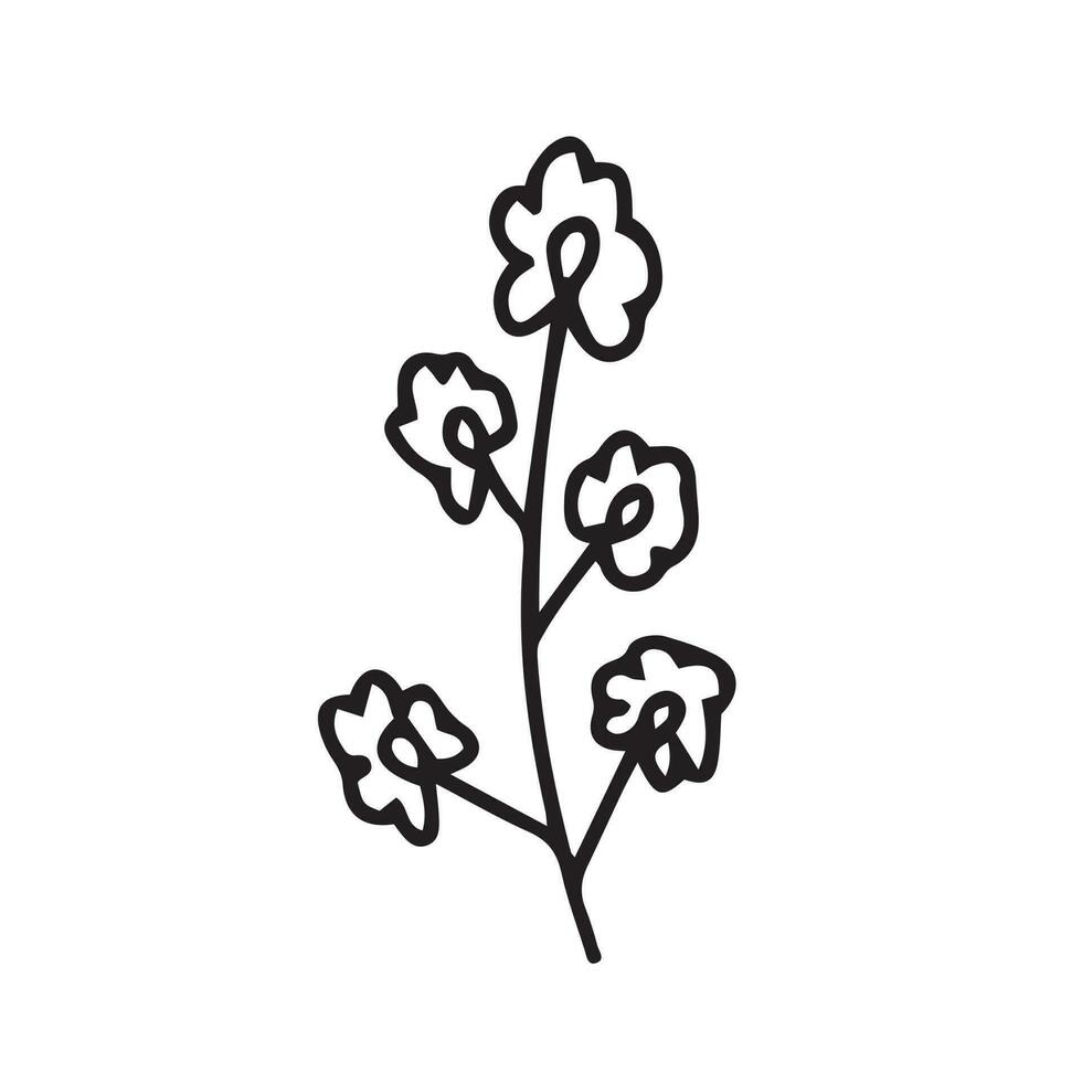 Doodle chamomile vector illustration. Hand drawn wild chamomile sketch