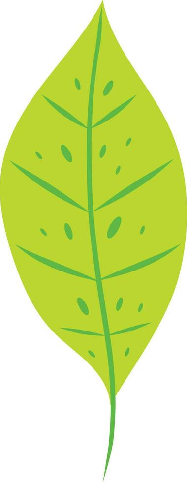 Tropical Leaf Element vector