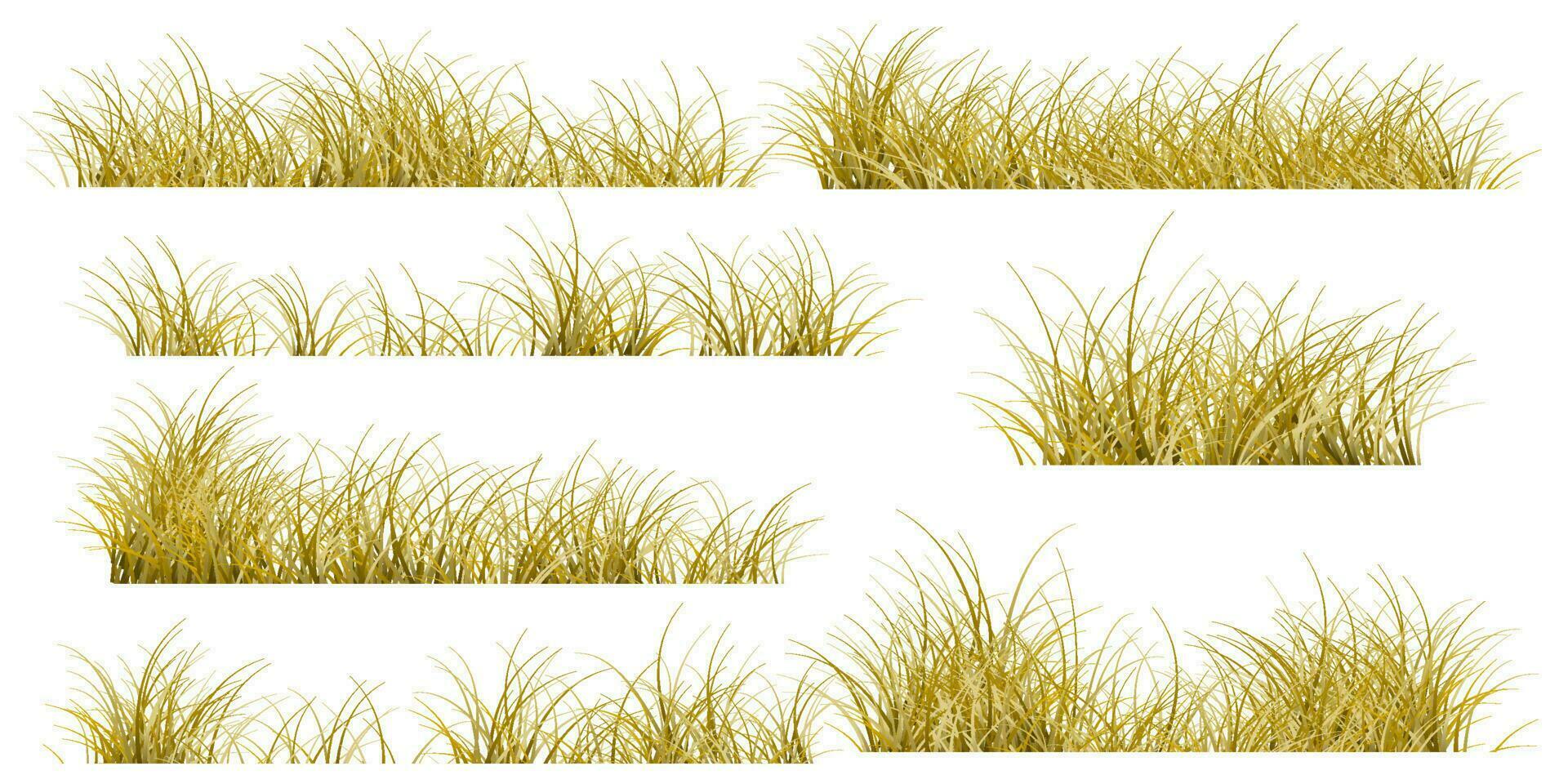 autumn grass set vector