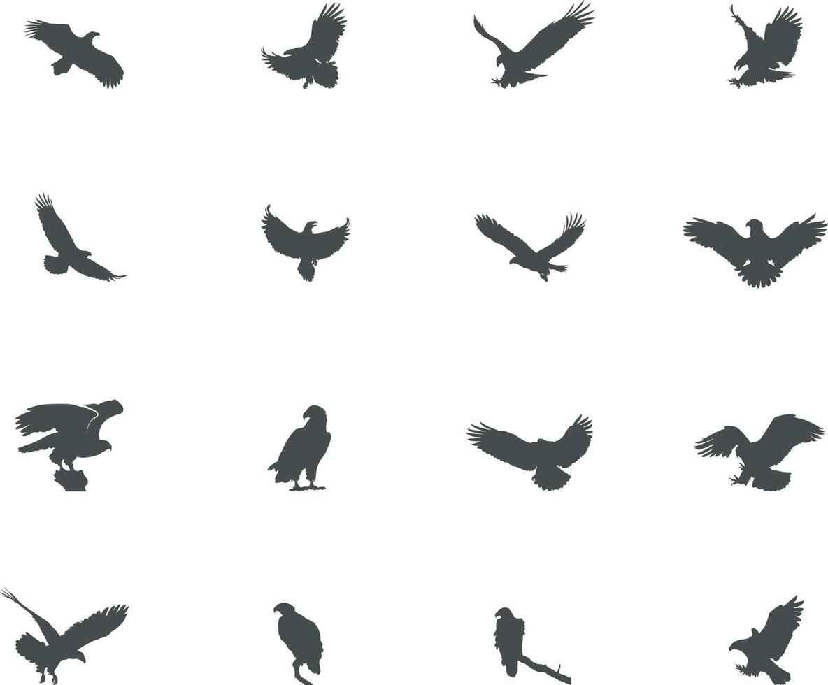 Eagle silhouette, Bald eagle silhouette, Flying eagle silhouette. vector