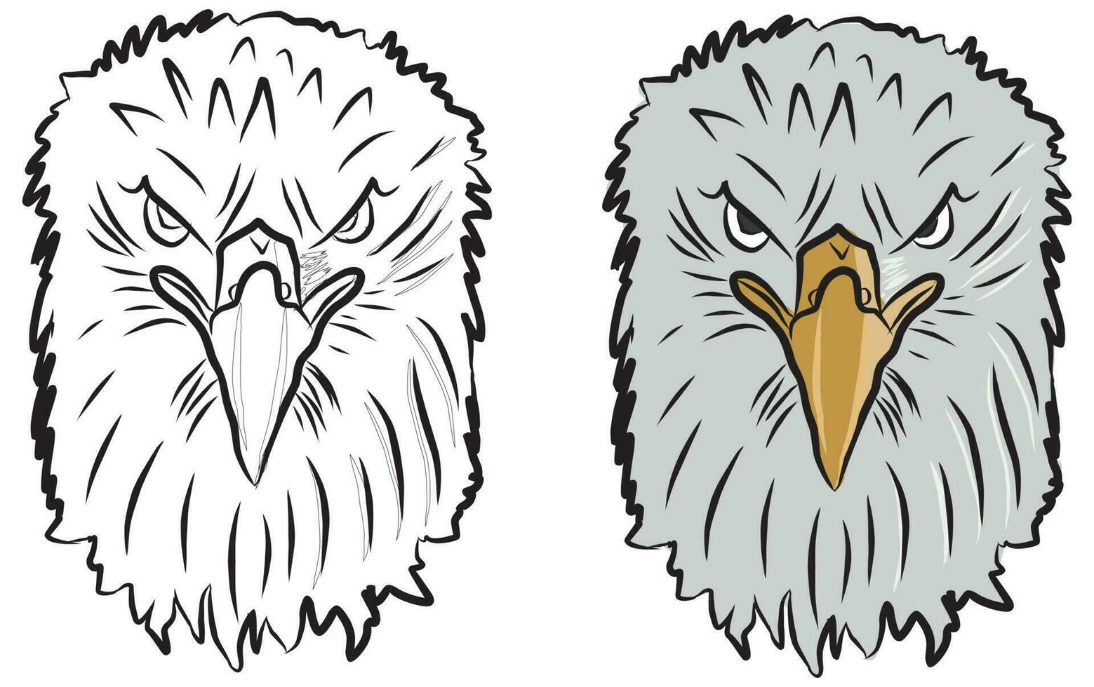 pictures for education coloring eagle heads, suitable for drawing books, coloring applications, educational books and more vector