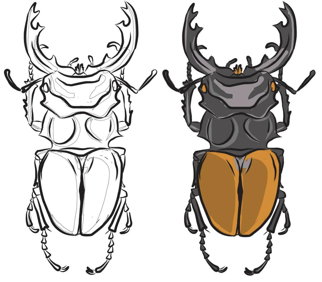 pictures for education coloring horn beetles, suitable for drawing books, coloring applications, educational books and more vector