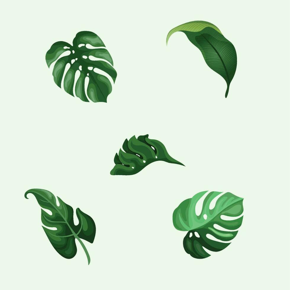 vector design, illustration of group of tropical plant leaves