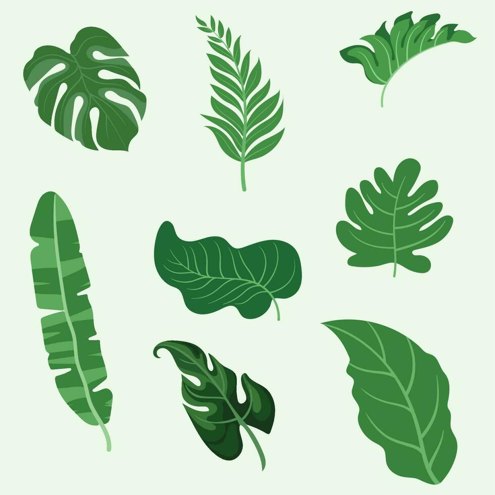 vector design, illustration collection of green tropical leaves