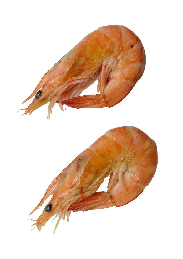 Red cooked prawn isolated in white background photo