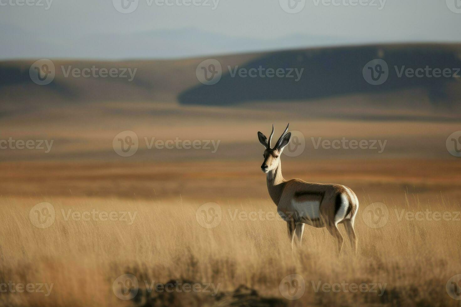 Mongolian gazelle. Generate Ai photo