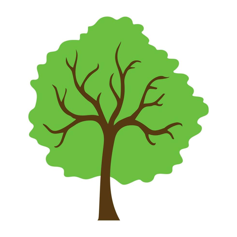 Tree with single leaf structure as one leaf on one stem, this is apple tree icon vector