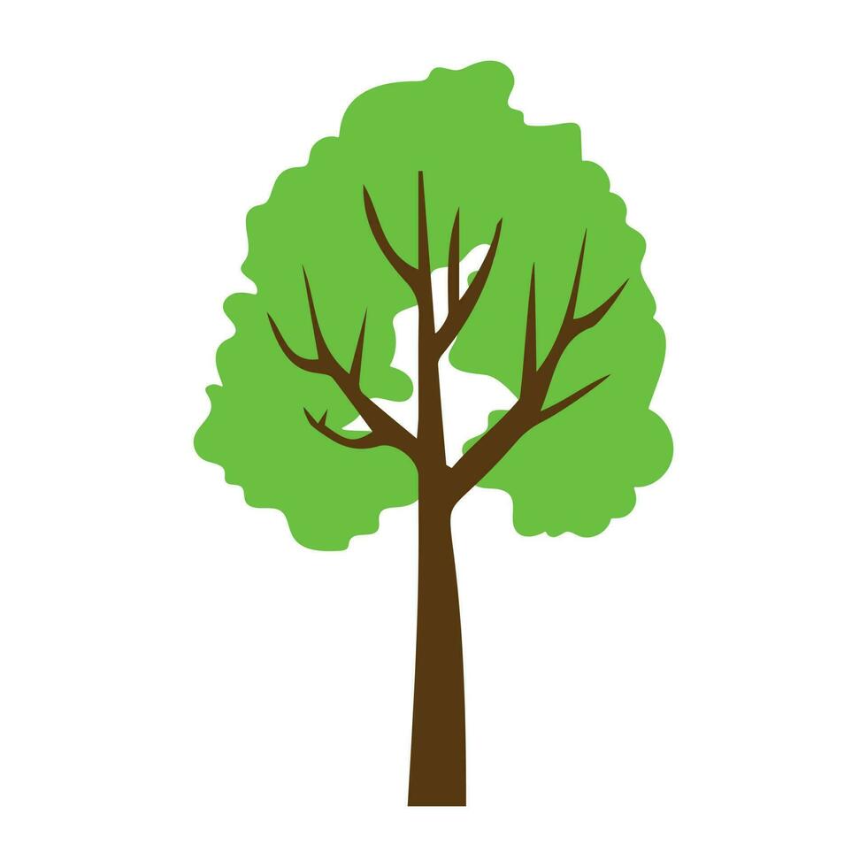 Tree with single leaf structure as one leaf on one stem, this is apple tree icon vector