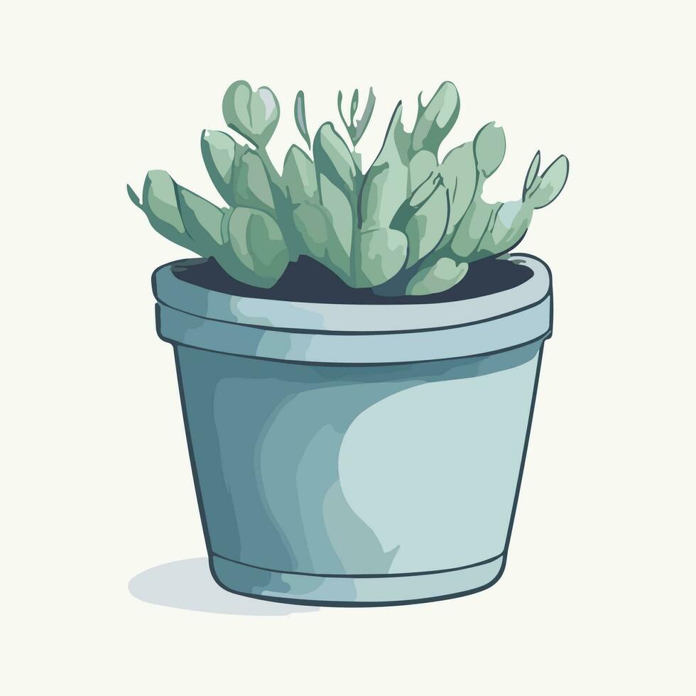 Cactus in a pot. Beautiful green cute cactus illustration vector isolated artwork