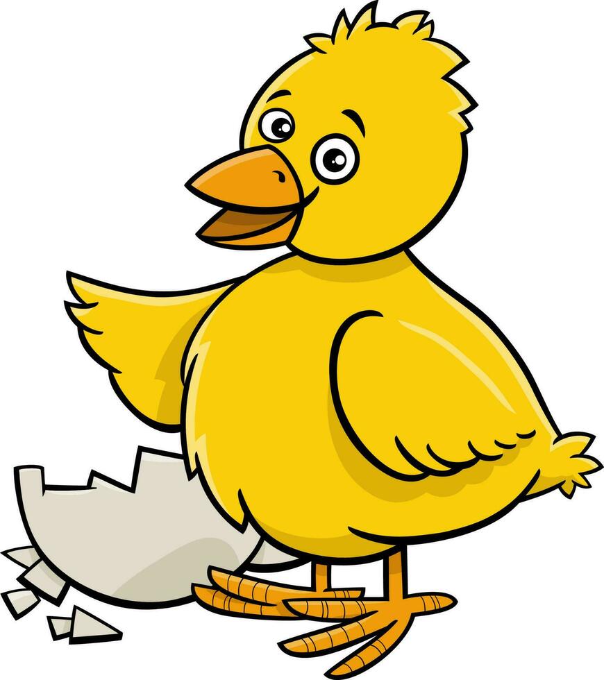 cartoon little yellow chick hatched from egg vector