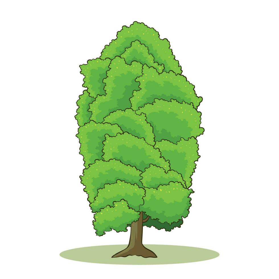 hand drawn clove tree vector