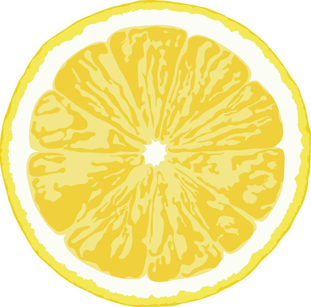 Lemon slice vector illustrations, clipping path, isolated on a white background