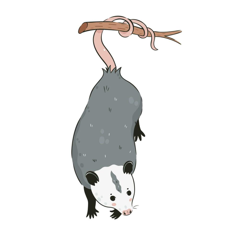 Cute opossum isolated on a white background. Vector graphics.