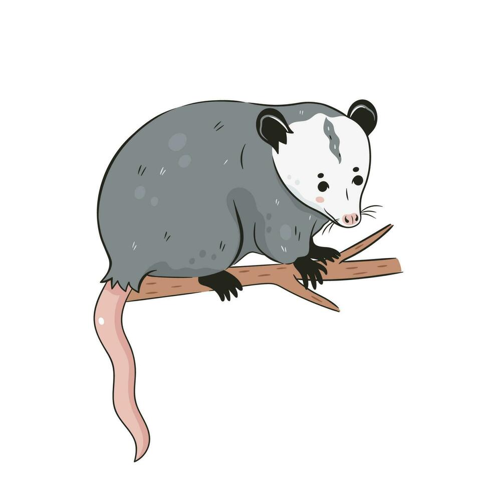 Cute opossum isolated on a white background. Vector graphics.