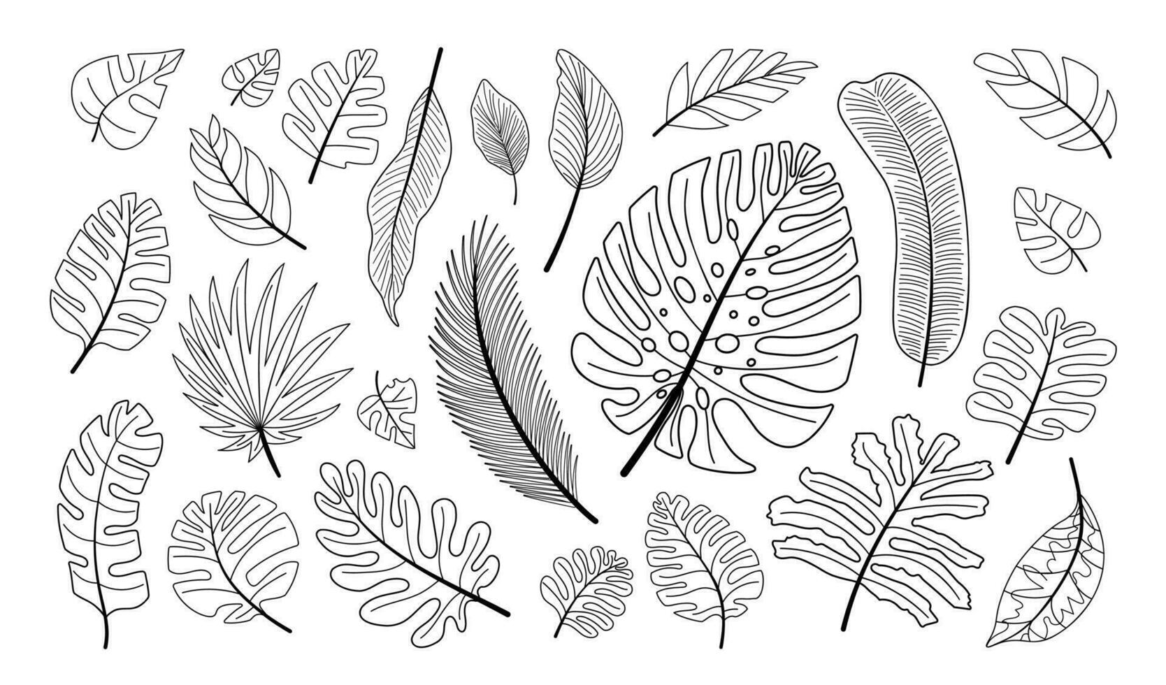 Tropical leaves line doodle set vector illustration