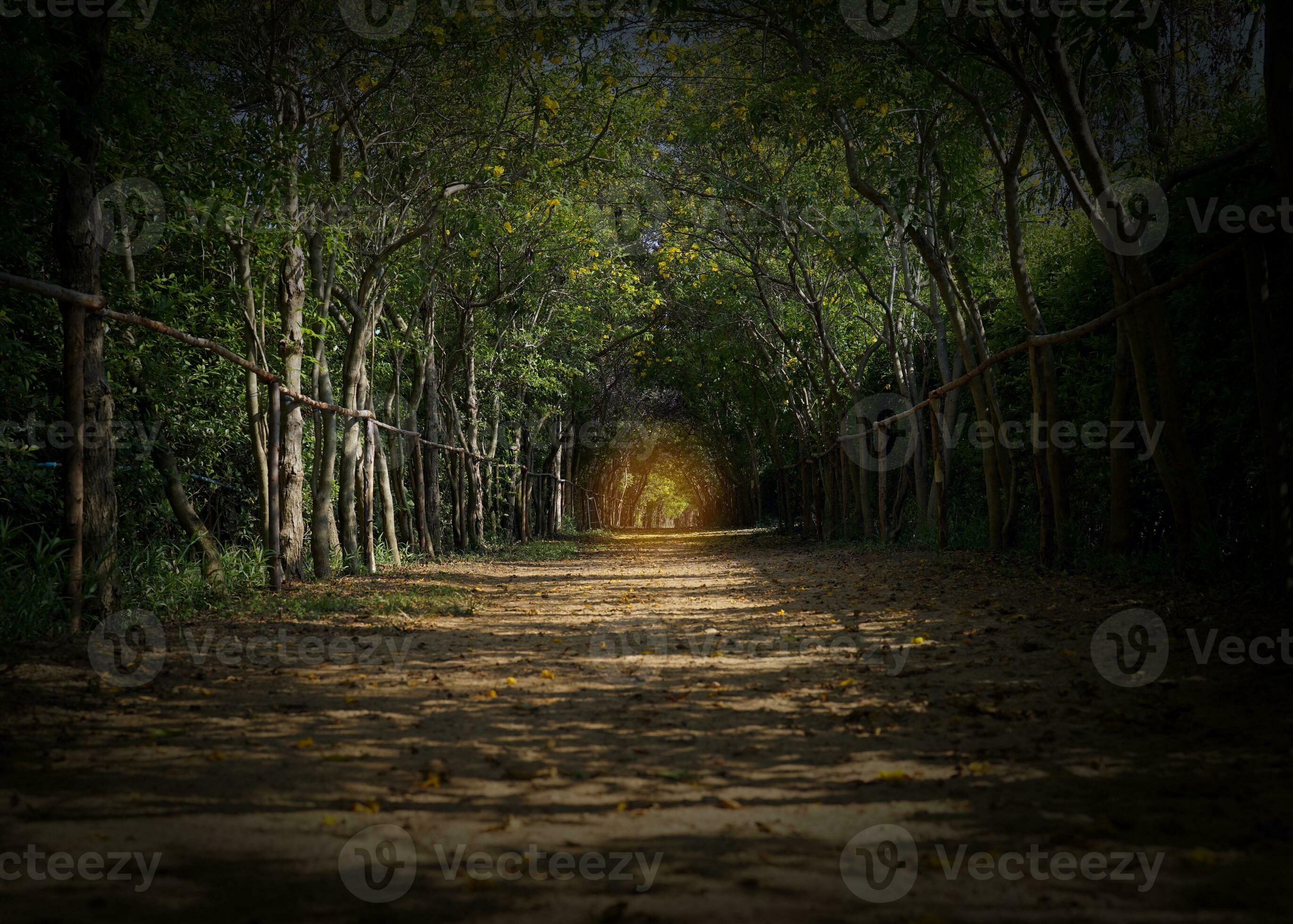 Light at the end of the on sale tunnel meaning