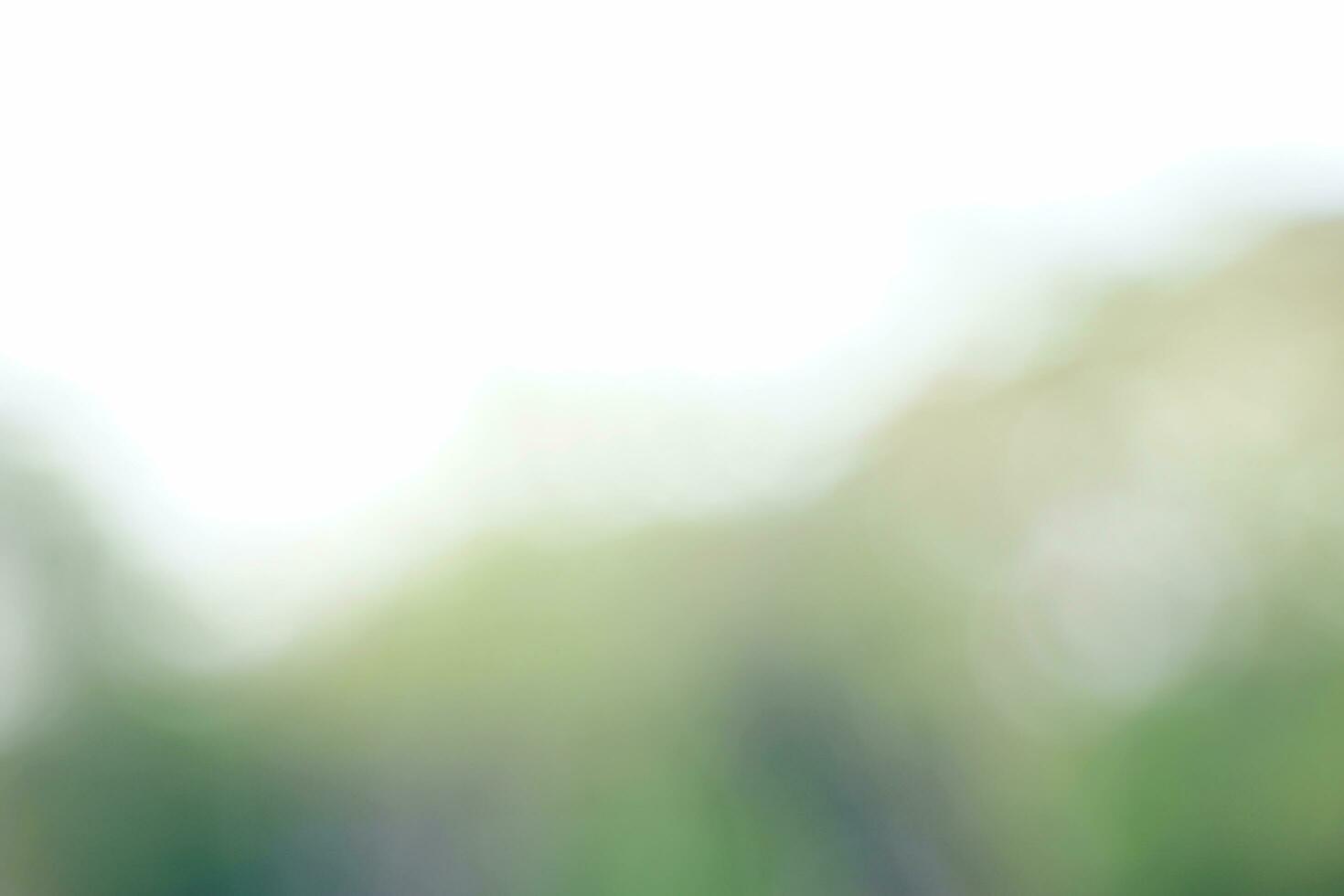 abstract background bokeh from green trees. Concept bokeh and background bokeh from nature, soft and selective photo