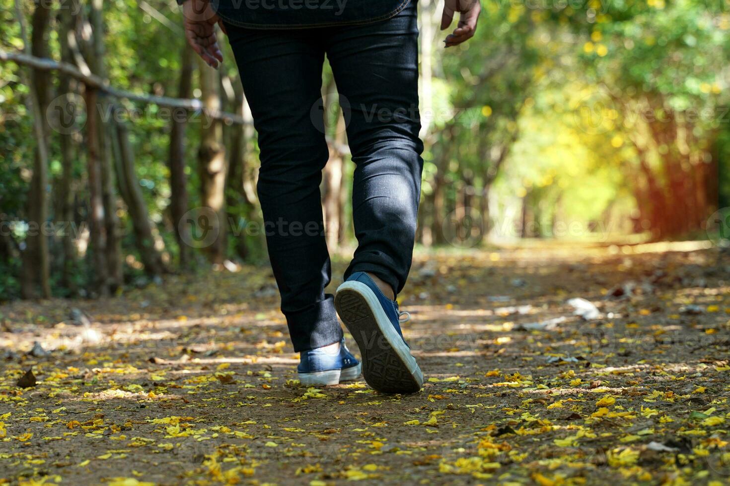 Walk to the end of the tree tunnel Compare with the expression There's a light at the end of the tunnel, which has the meaning of encouraging that every problem has a solution. photo