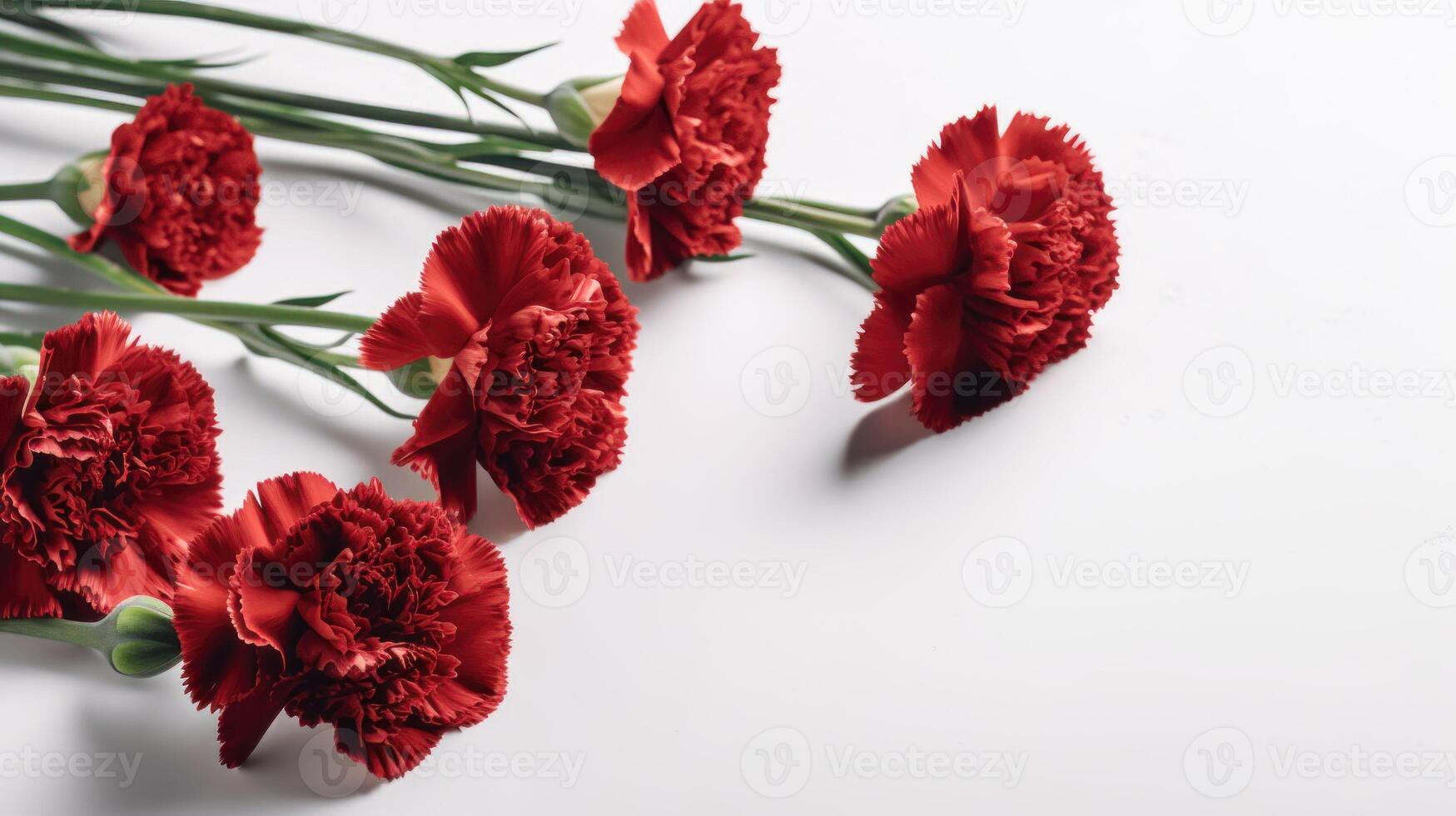 Red carnations arranged diagonally on a white background with copy space. . photo
