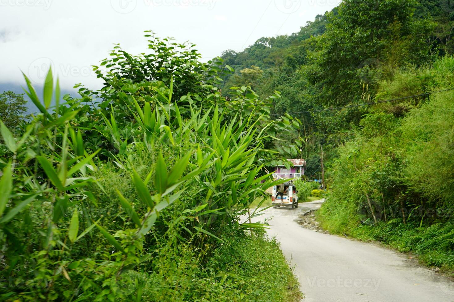 Narrow Road of Mountain at the Village of Sikkim photo