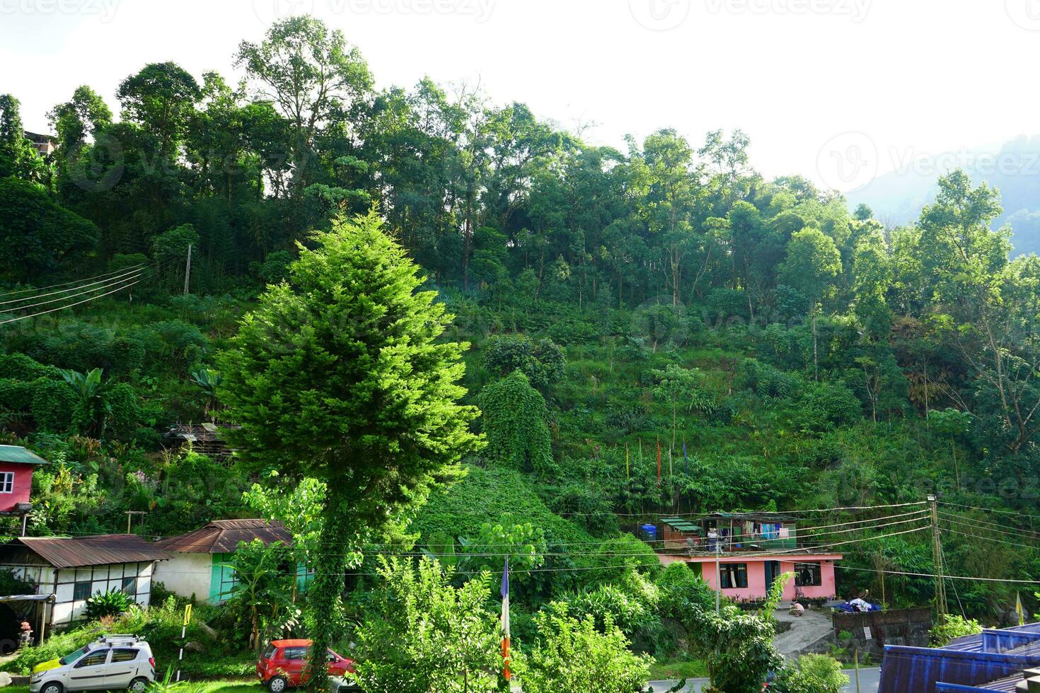 Mountain Village at Lingtham Sikkim photo