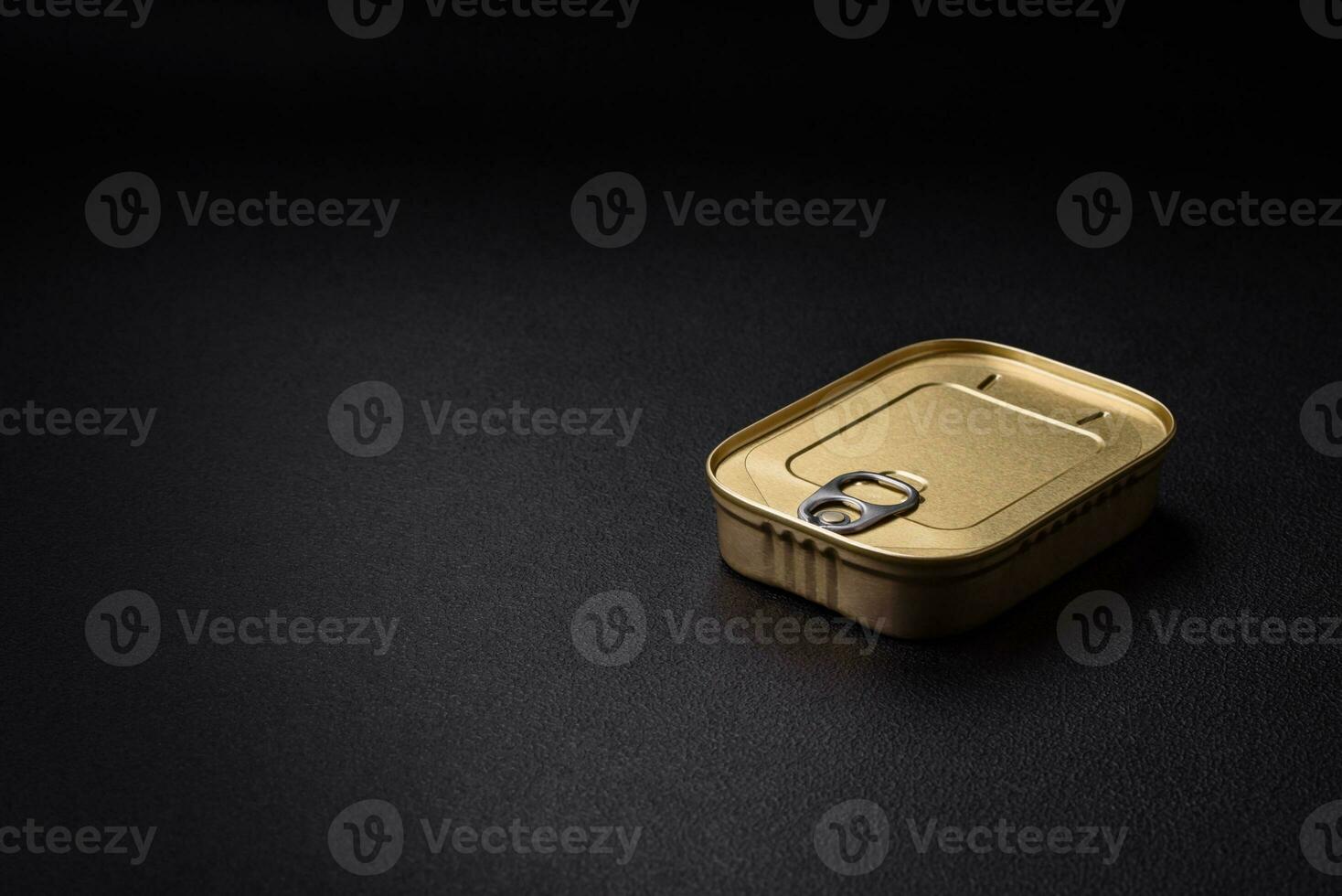 Tin or aluminum rectangular can of canned food with a key photo