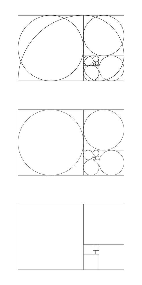 Golden ratio template. Fibonacci array, numbers. Golden proportions collection. vector