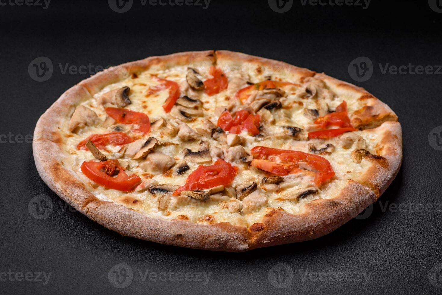 Delicious pizza with chicken, tomatoes and cheese with salt and sauce photo