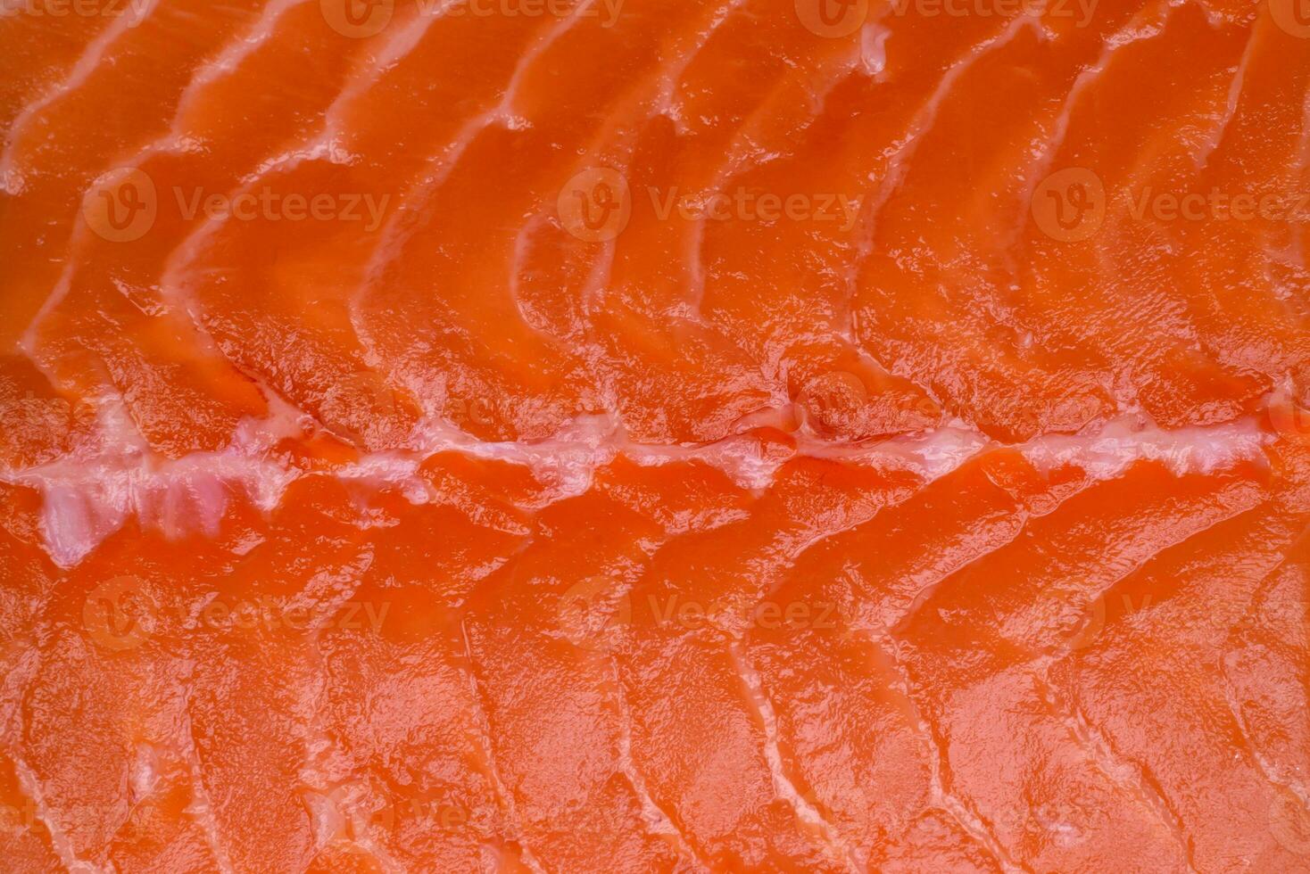 Fresh raw salmon red fish fillet with salt and spices photo