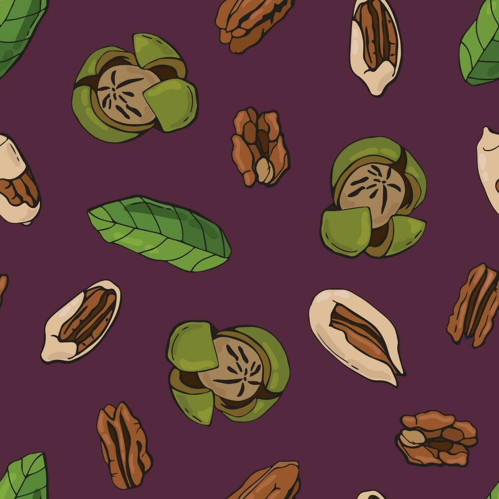 Seamless pattern with pecan nuts. Design for fabric, textile, wallpaper, packaging. vector