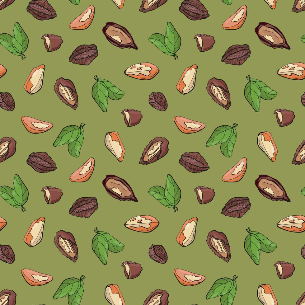 Seamless pattern with brazil nuts. Design for fabric, textile, wallpaper, packaging. vector