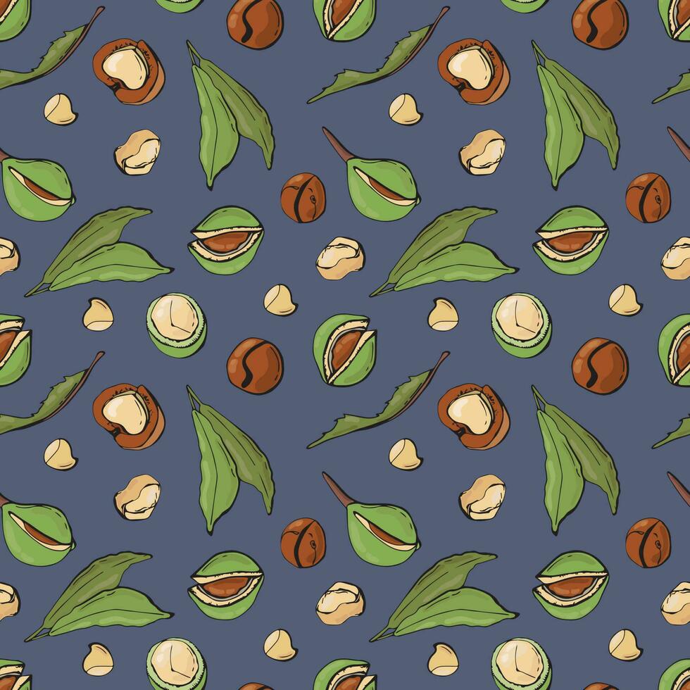 Seamless pattern with macadamia nuts. Design for fabric, textile, wallpaper, packaging. vector