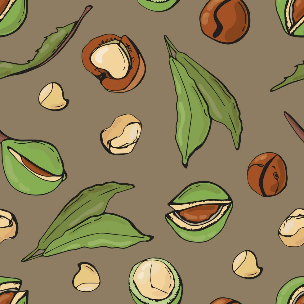 Seamless pattern with macadamia nuts. Design for fabric, textile, wallpaper, packaging. vector