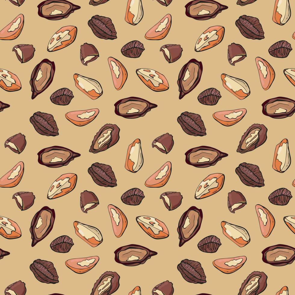 Seamless pattern with brazil nuts. Design for fabric, textile, wallpaper, packaging. vector