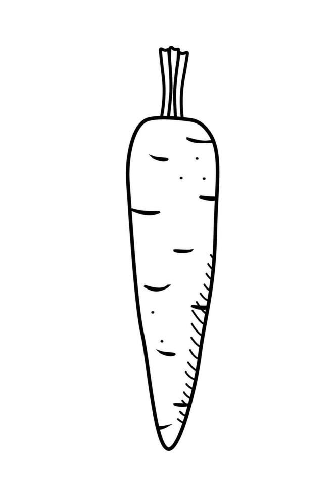Carrot sketch icon doodle. Vector drawing vegetable on a white background.