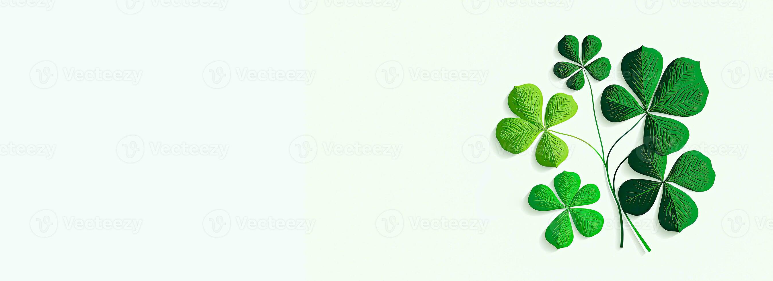 Green Clover Plant On White Background And Copy Space. St. Patrick's Day Concept. photo