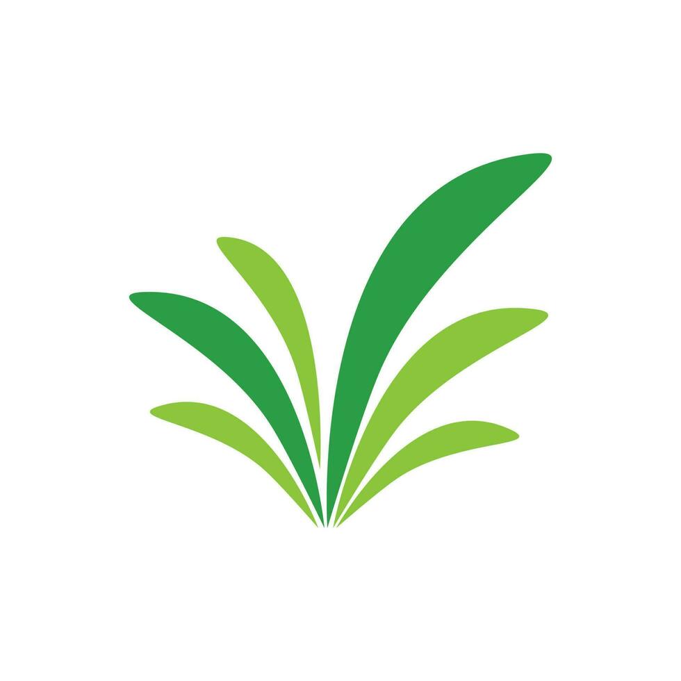 Green grass vector 24122456 Vector Art at Vecteezy