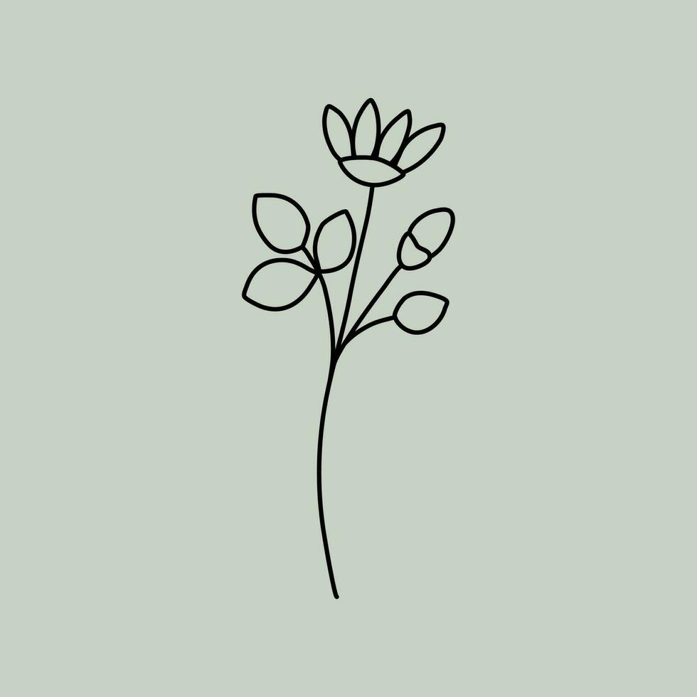 arte de línea floral vector