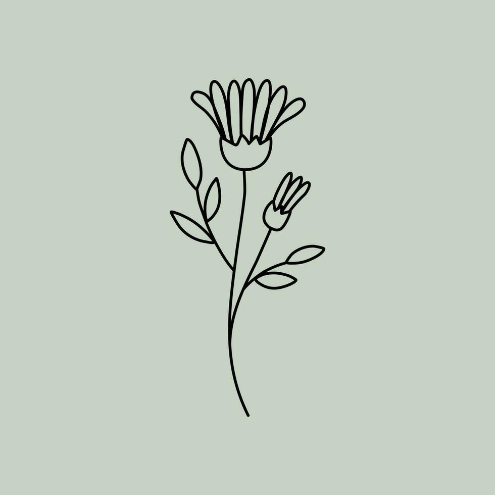 arte de línea floral vector