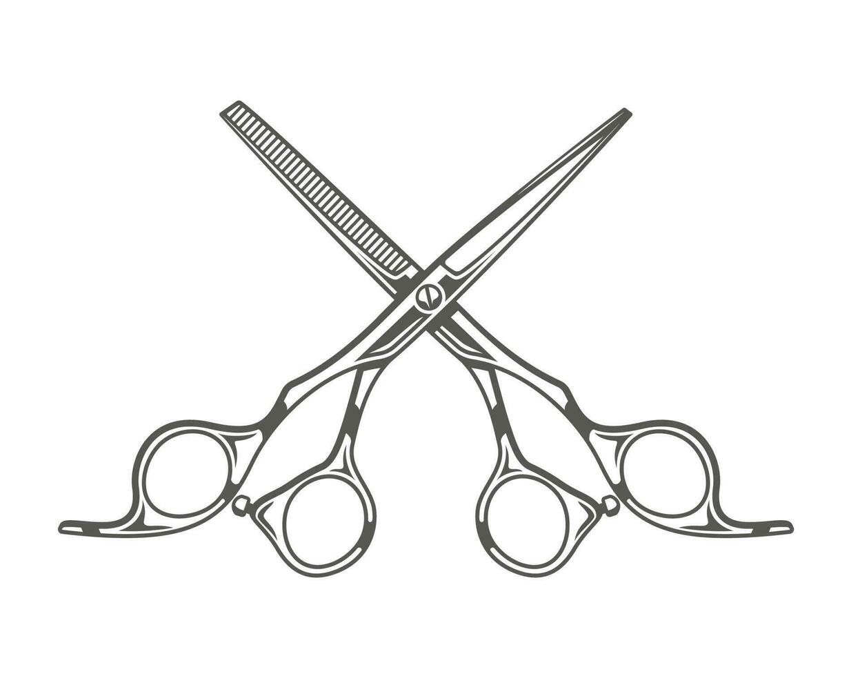 Scissors isolated on white background vector